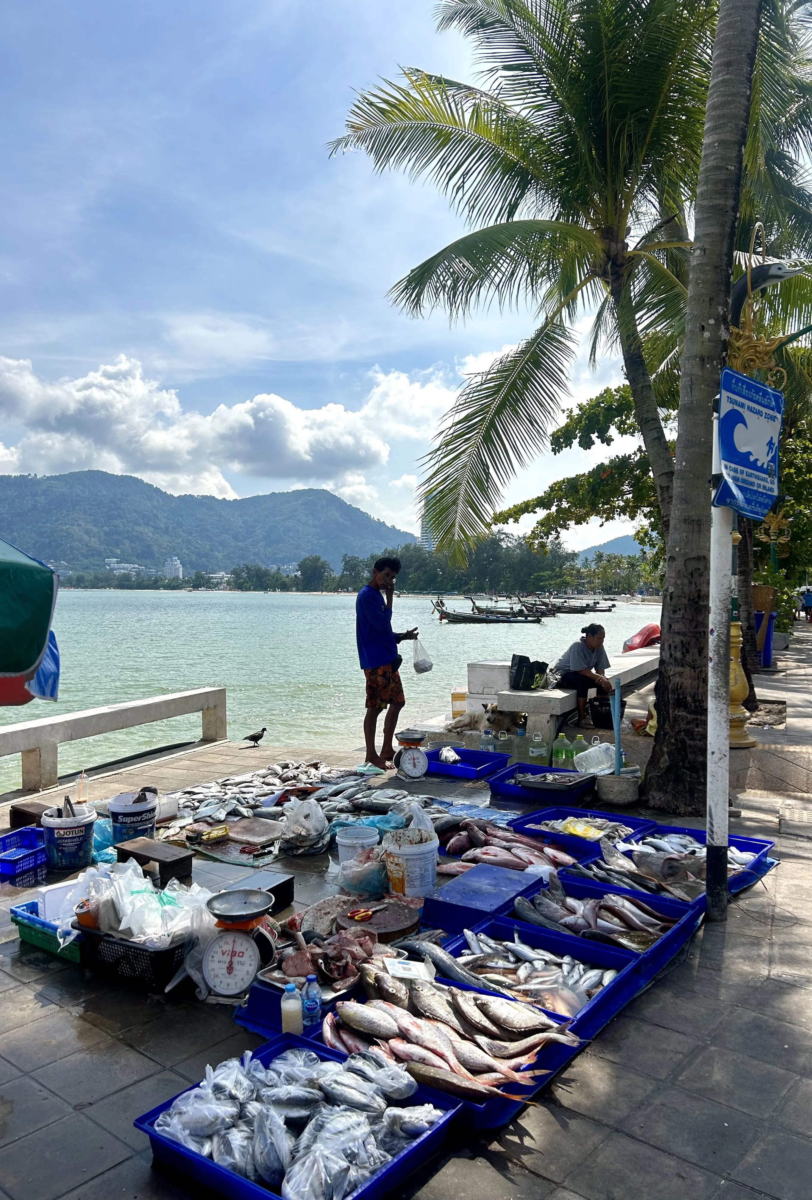 แผงปลาสดในถาดสีน้ำเงินริมทะเลที่ตลาดเช้าของหมู่บ้านชาวเล มีเรือหางยาวและภูเขาเป็นฉากหลัง